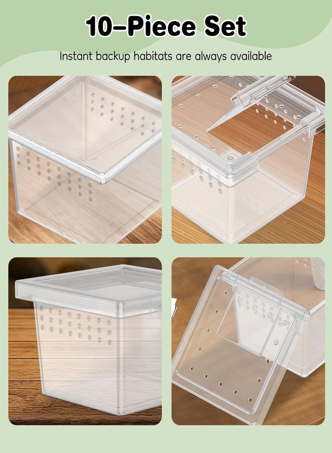 Pawfly 10 Pcs Mini Spider Terrarium Breeding Box, Transparent Plastic Jumping Spider Enclosure Cricket Keeper Tarantula Enclosure, Small Reptile Hatching Container for Scorpion Centipede Gecko Mantis - Image 5